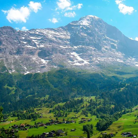 Bienli * Grindelwald