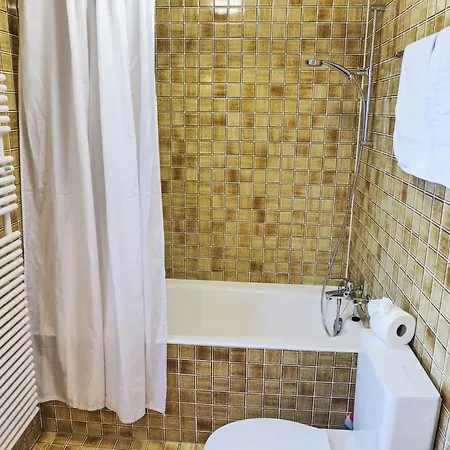 Bienli Mitte By Interhome *