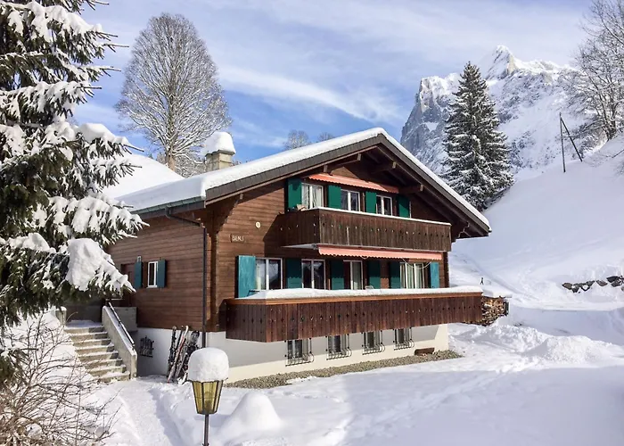 Apartment Bienli Mitte By Interhome