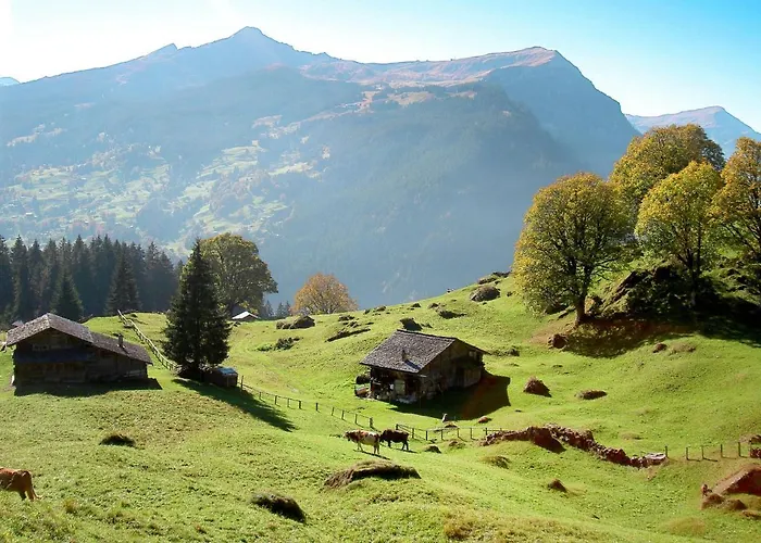 Apartment Bienli Mitte By Interhome *